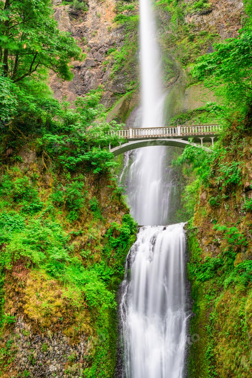 Preview: Multnomah Falls, Oregon, USA