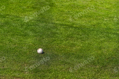 Preview: A Baseball Lies In The Grass On A Warm Spring Day.
