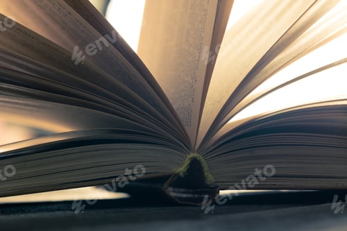 Preview: Open book capturing sunlight in a cozy workspace during afternoon hours