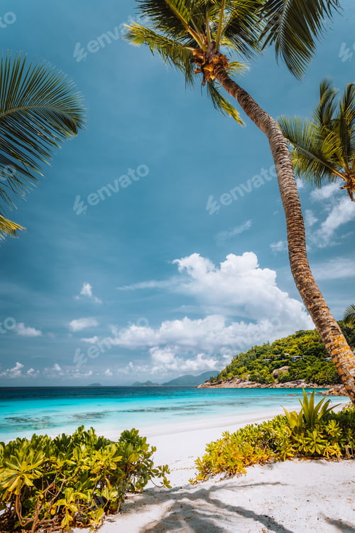 Preview: Tropical sandy beach with blue ocean and palm trees at Mahe island, Seychelles. Carefree relax