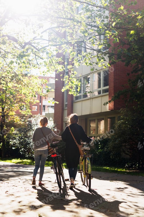 Preview: Rear view of women walking with bicycles on street