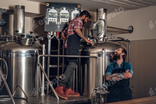Preview: Tattooed, bearded Caucasian and Indian men in the craft beer microbrewery.