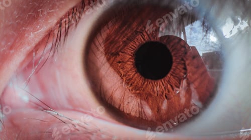 Preview: Macro shot of a light brown ey