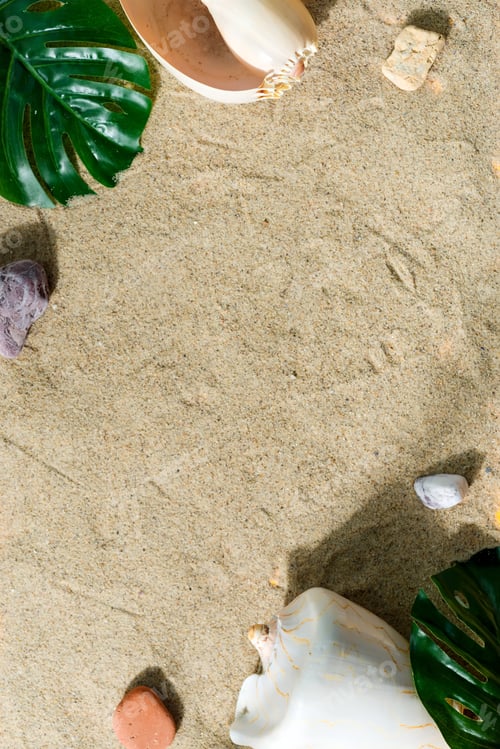 Preview: Beach background with shells and green leaves