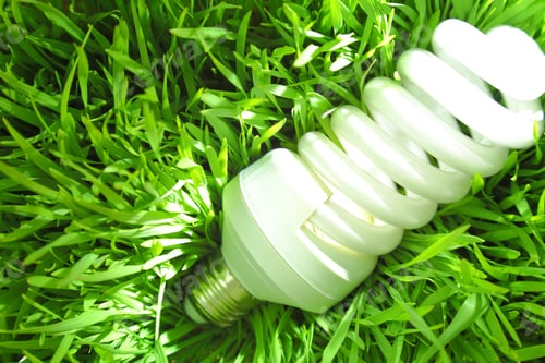Preview: Economy light bulb on green grass