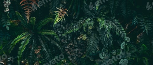 Preview: Close-up of a group of green leaves, providing a textured and abstract nature background.