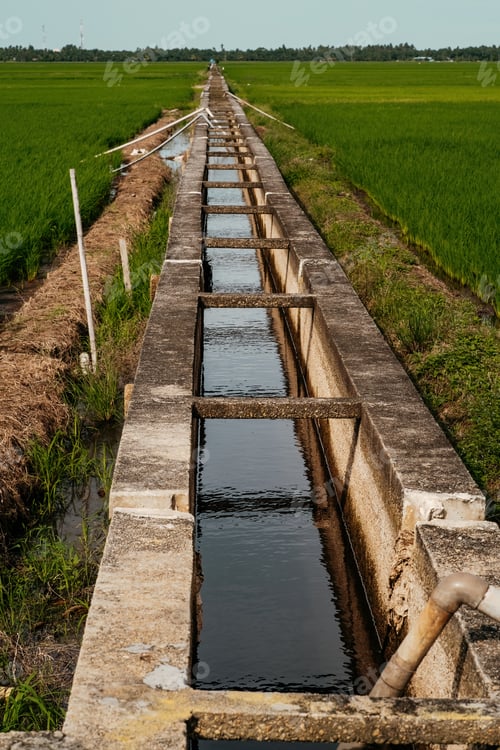 Preview: Concrete water irrigation at the rice paddy field.