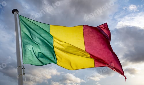 Preview: Mali flag waving against cloudy sky