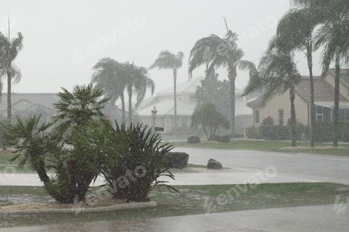 Preview: Florida summertime downpour