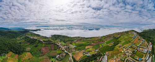 Preview: Amazing view panorama landscape the sea of mist On the top of the mountain, Phu Thap Boek, a famou