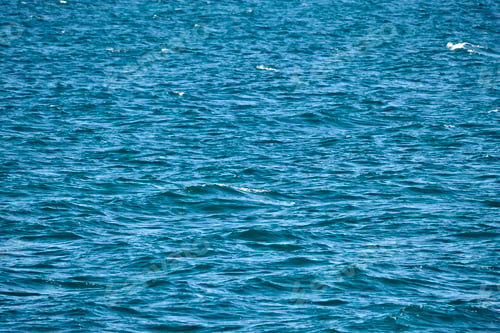Preview: Closeup seascape surface of blue sea water with small ripple waves