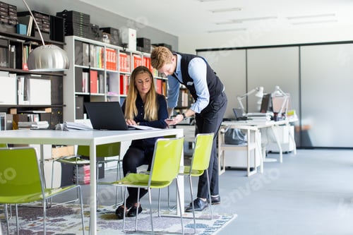 Visualização: Retrato de mulher com colega trabalhando no escritório