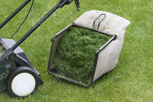 Preview: Lawn mower bucket full of freshly cut grass