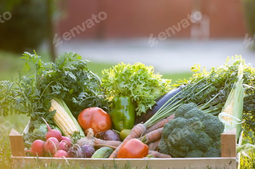 Preview: Assorted organic vegetables in wooden box on natural background