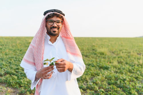 Preview: Arab farmer inspecting soybean plant in cultivated field