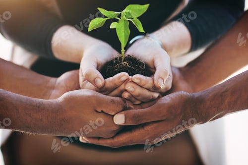 Preview: Getting hands on in the growth of business. Cropped shot of a team of colleagues holding a plant.