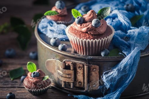 Preview: Fresh Blueberry Cupcakes with Chocolate Frosting on Display