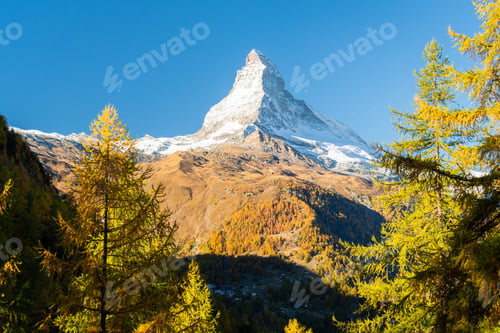 Preview: Matterhorn Mountain and Yellow Golden Larches in Autumn. Switzerland