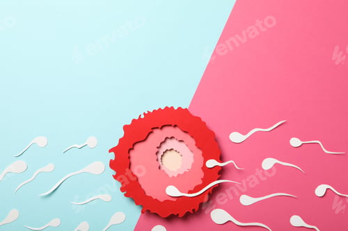 Preview: Fertilization concept, ovulation period, sperm and egg.