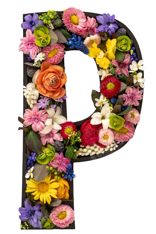 Preview: Letter P made of real natural flowers and leaves on white background isolated.