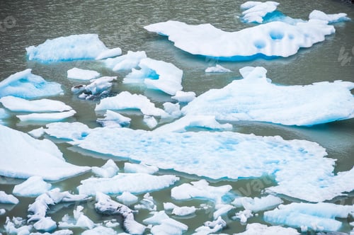 Preview: Icebergs from Grey Glacier (Glaciar Grey), Torres del Paine National Park, Patagonia, Chile, South A