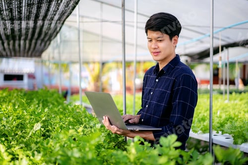 Preview: A man is standing in a greenhouse with a laptop in his hand