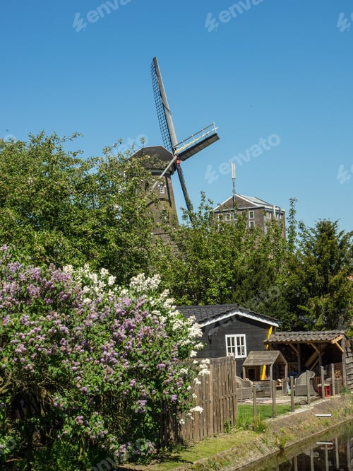 Preview: Vertical shot of a windmill and flowers around rural buildings on a sunny summer day