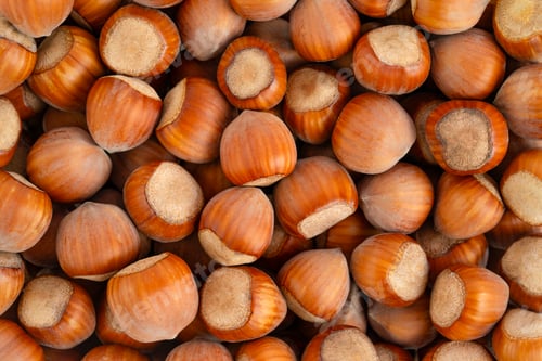 Preview: Hazelnuts or filberts background. Top view