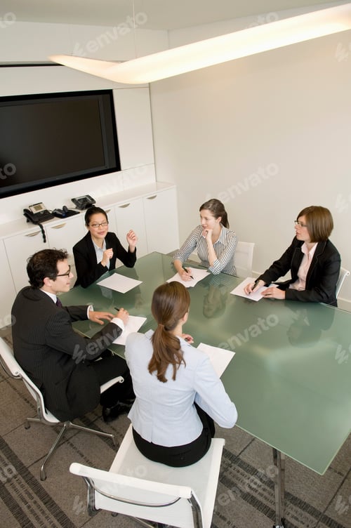 Preview: A portrait of a business meeting