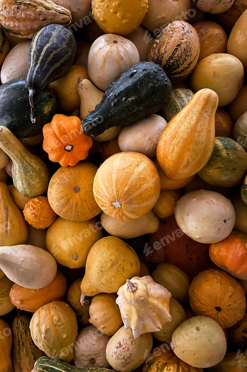 Preview: Vegetables from above