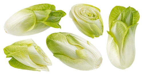Preview: Chicory salad isolated on white background