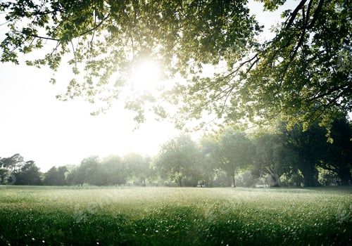 Preview: Green Field Park Environment Scenic Concept