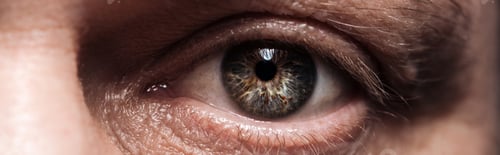 Preview: close up view of mature human eye looking at camera, panoramic shot