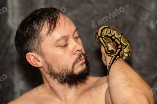 Preview: Portrait of caucasian man with Python regius snake on gray background. Selective focus