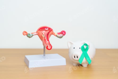 Preview: September Ovarian cancer Awareness month.