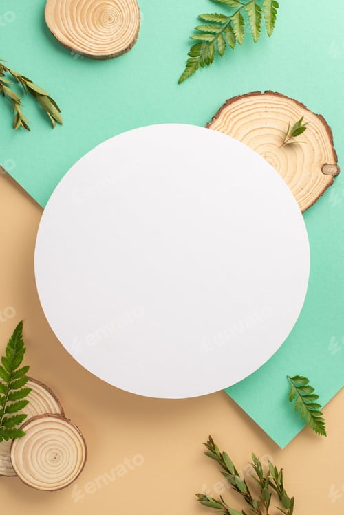 Preview: Wild nature beauty concept. High angle view photo of white empty round frame surrounded by wooden