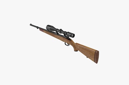 Preview: Scoped Hunting Rifle with Wood Stock