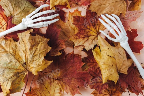 Preview: Halloween fall background with skeleton hands and autumn red leaves. Happy Halloween banner mockup