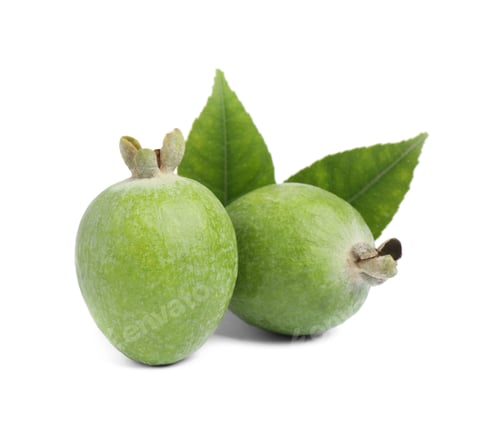 Preview: Fresh feijoa fruits with leaves on white background