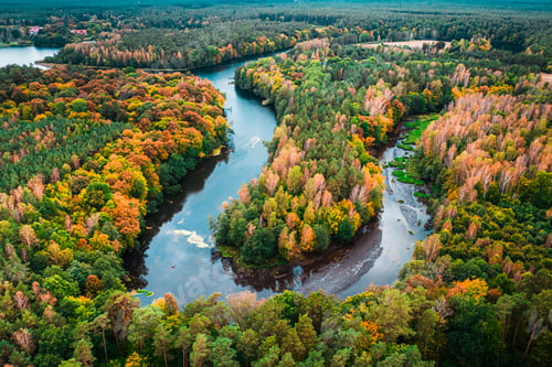 Preview: Aerial view of autumn forest and turning river, Poland