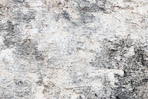 Preview: white concrete wall texture. background