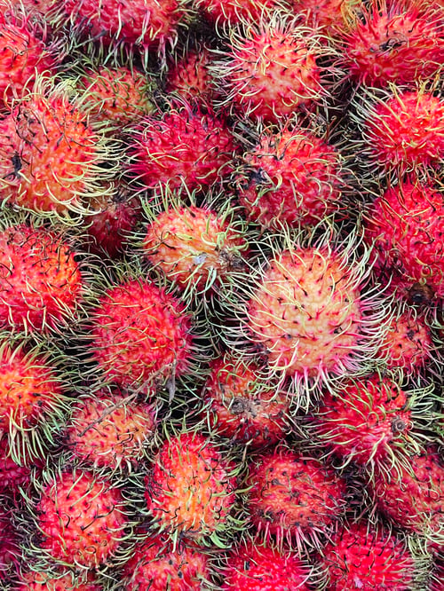 Preview: Rambutan fruit for sale at the market.