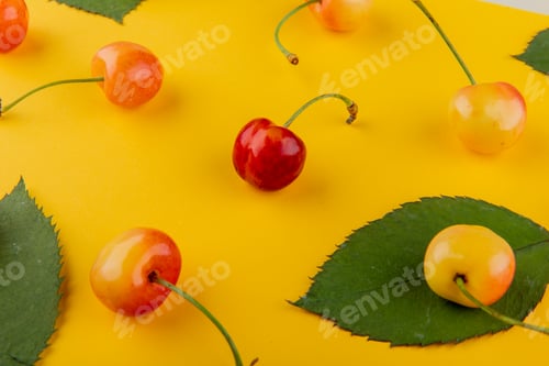 Preview: side view of fresh ripe rainier cherries with green leaves on yellow background