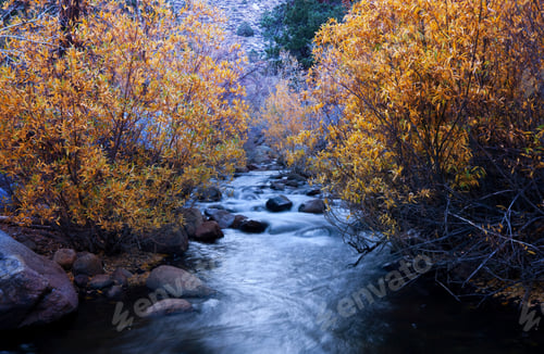 Preview: Autumn creek