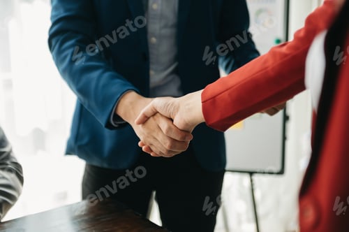 Preview: business people shaking hands during a meeting in office