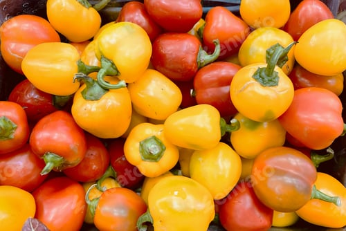 Preview: Close up of yellow and red peppers for sale at a farmers market in Italy
