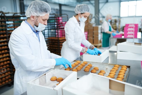 Preview: Confectionery factory workers putting pastry into boxes