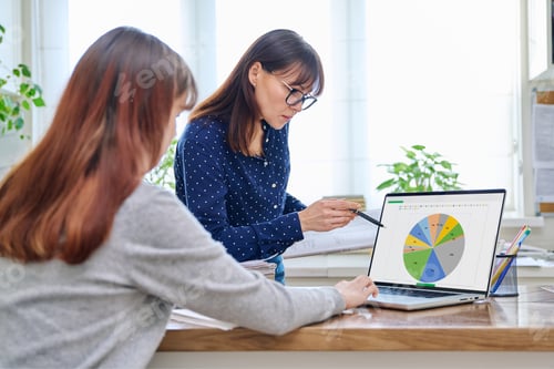 Preview: Training courses, young female studies at computer, mature mentor teaching young student