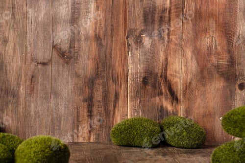 Preview: moss plant decor at wood table and wall with copy space