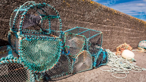 Preview: Colored fishing cage on shore in Scotland